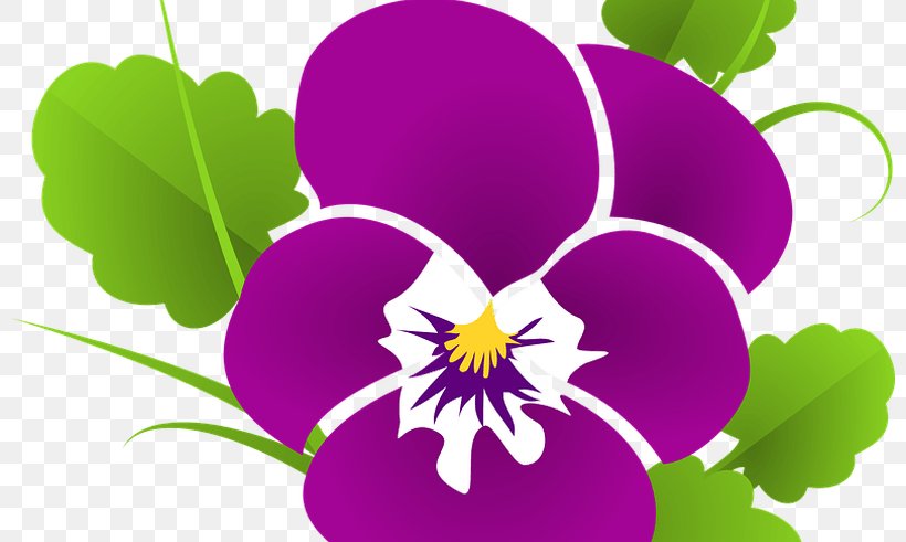 Pansy Sweet Violet Lilac Clip Art, PNG, 800x491px, Pansy, Annual Plant, Flora, Flower, Flowering Plant Download Free