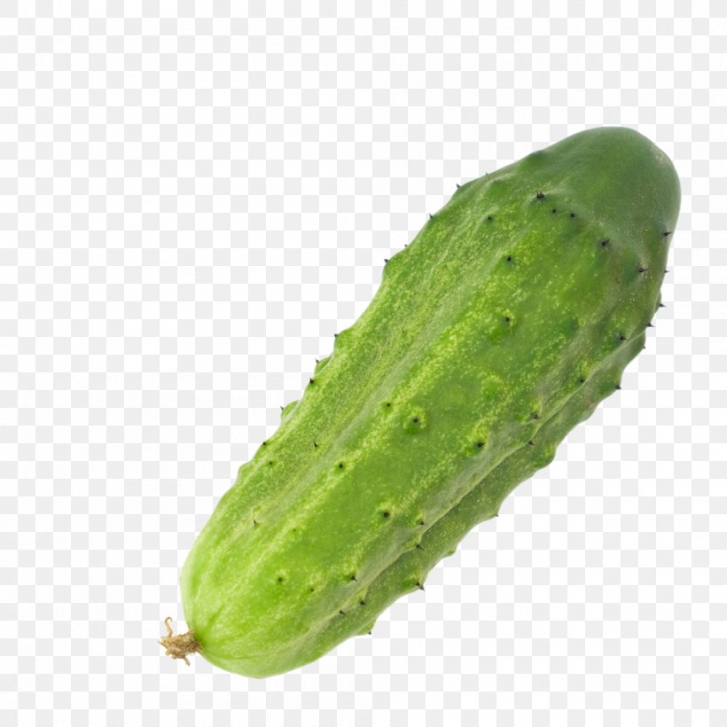 Pickled Cucumber Icon, PNG, 1000x1000px, Cucumber, Cucumber Gourd And Melon Family, Cucumis, Data, Flat Design Download Free