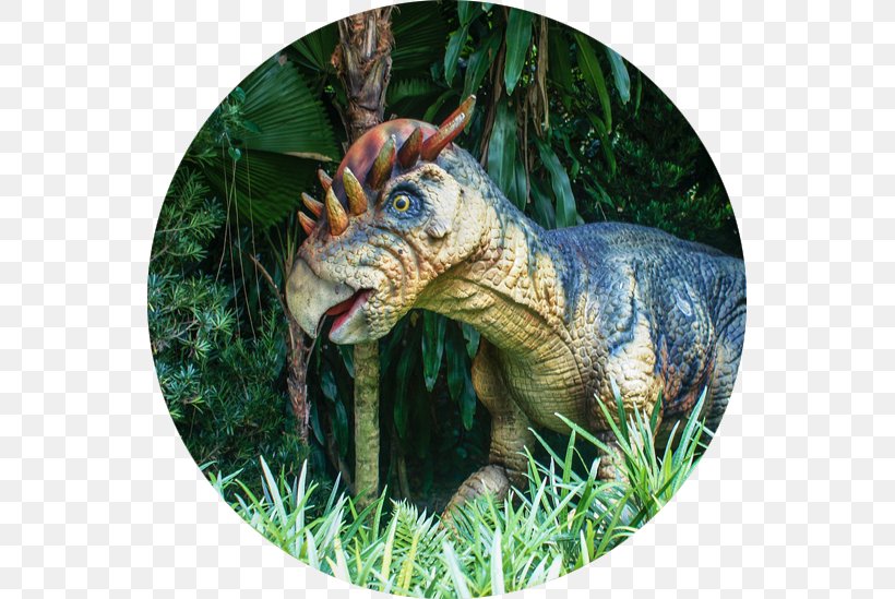 Tyrannosaurus Dinosaur Reptile Pelican Coprolite, PNG, 549x549px, Tyrannosaurus, Animal, Bird, Coprolite, Dinosaur Download Free