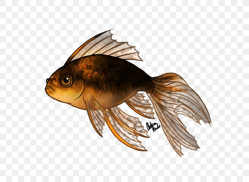 Fantail Oranda Lionhead Koi Fish, PNG, 600x600px, Fantail, Animal, Aquarium, Aquariums, Art Download Free