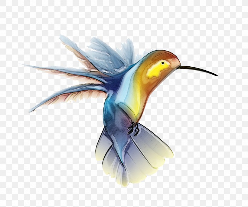 Hummingbird Clip Art, PNG, 1800x1500px, Hummingbird, Animal, Beak, Bird, Bird Flight Download Free