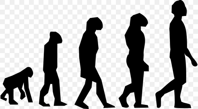 March Of Progress Homo Sapiens Ape Human Evolution, PNG, 816x452px, March Of Progress, Ape, Black And White, Communication, Conversation Download Free