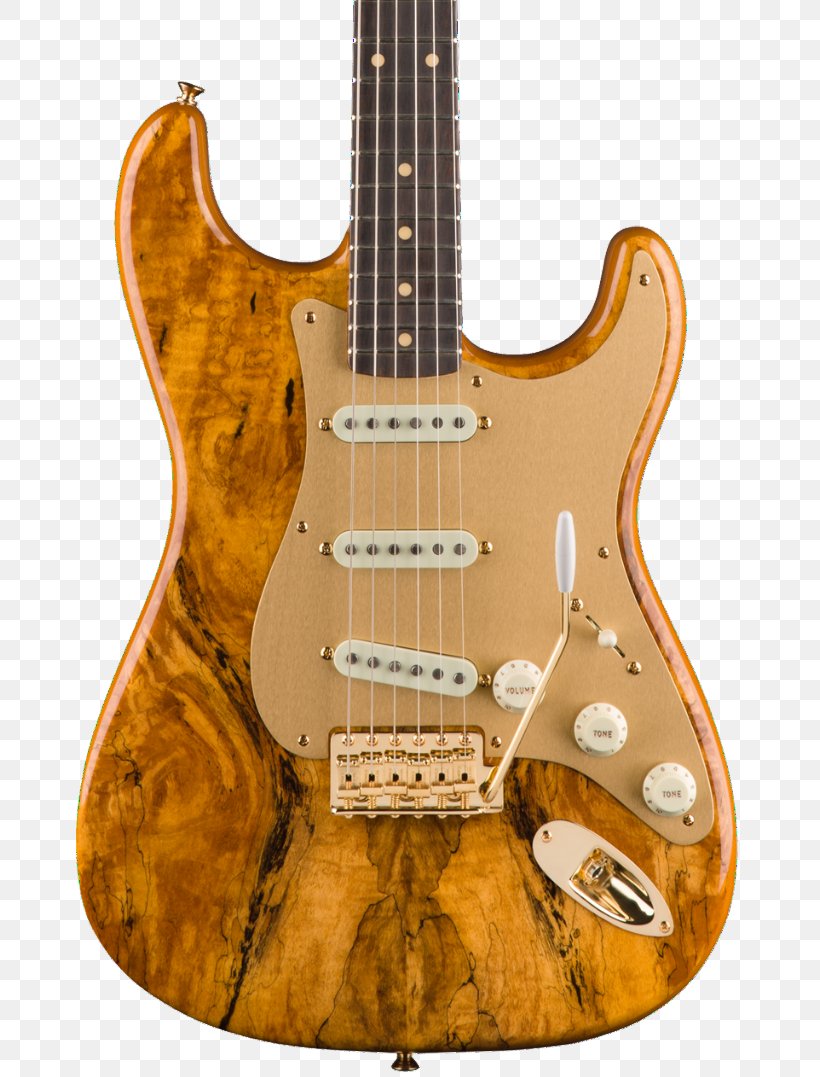 Electric Guitar Bass Guitar Fender Stratocaster Spalting, PNG, 669x1077px, Electric Guitar, Acoustic Electric Guitar, Acoustic Guitar, Acousticelectric Guitar, Bass Guitar Download Free