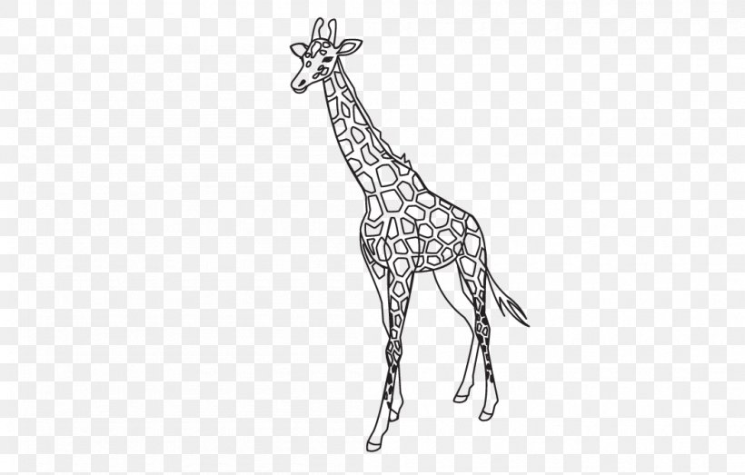 Giraffe Outline Template Lion Pattern, PNG, 1050x670px, Giraffe, Black And White, Body Jewelry, Coloring Book, Deer Download Free