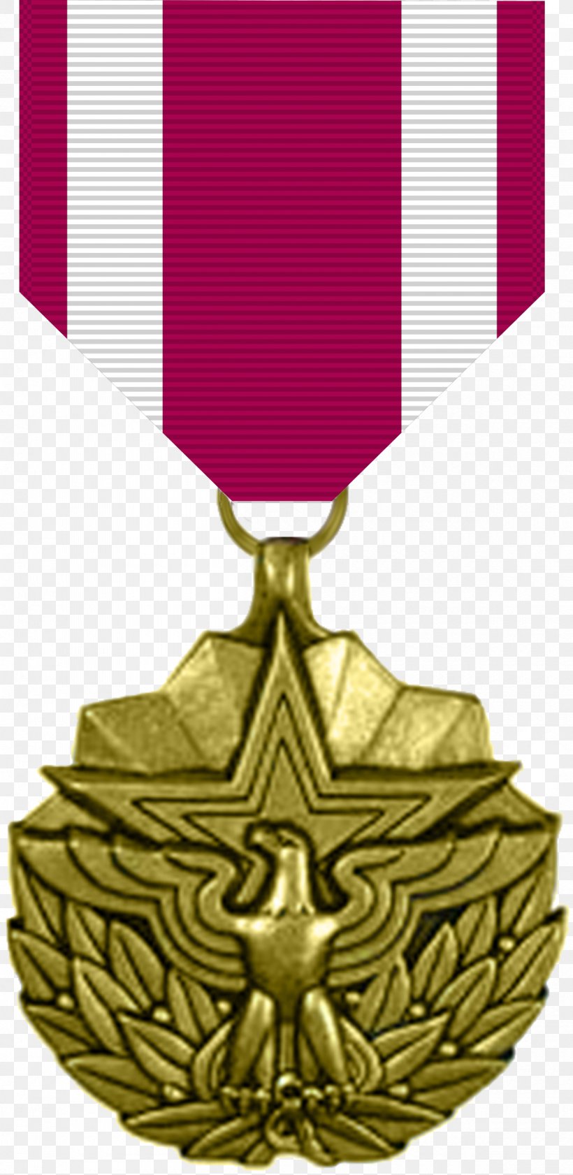 Meritorious Service Medal Military Awards And Decorations National Defense Service Medal, PNG, 1200x2462px, Meritorious Service Medal, Achievement Medal, Award, Bronze Star Medal, Commendation Medal Download Free