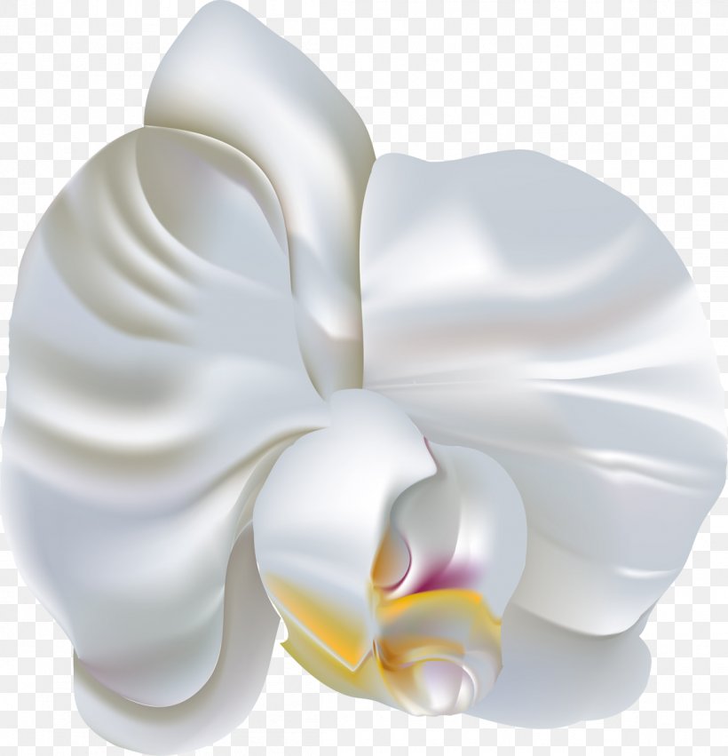 Flower Moth Orchids Clip Art, PNG, 1156x1200px, Flower, Archive File, Ear, Information, Moth Orchids Download Free