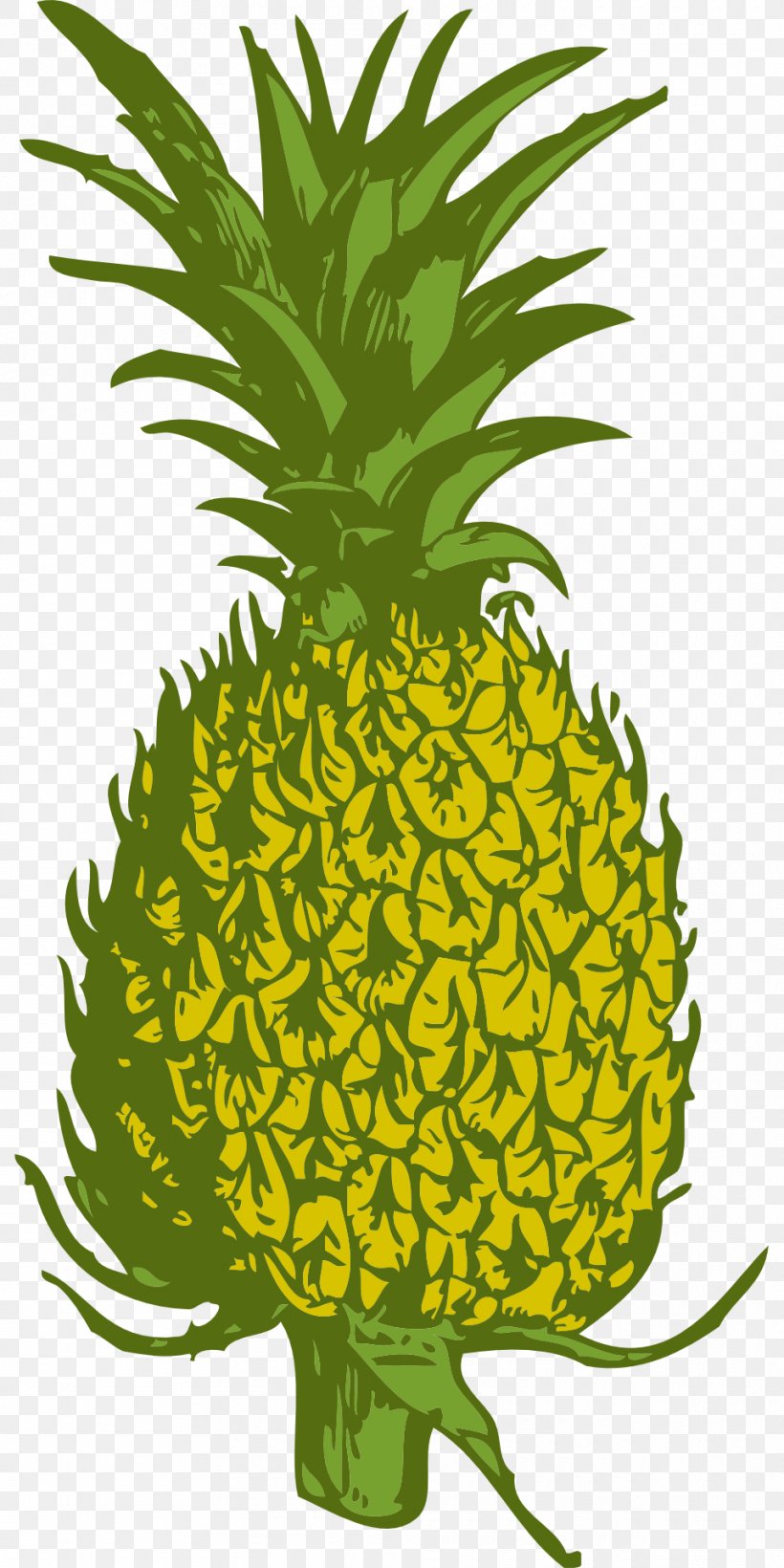 Vector Graphics Clip Art Image Illustration, PNG, 960x1920px, Drawing, Ananas, Bromeliaceae, Flower, Flowering Plant Download Free