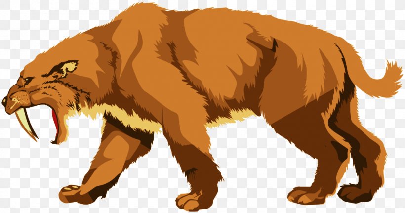 Saber-toothed Tiger Felidae Saber-toothed Cat Clip Art, PNG, 1000x526px, Tiger, Animal Figure, Animation, Big Cats, Carnivore Download Free
