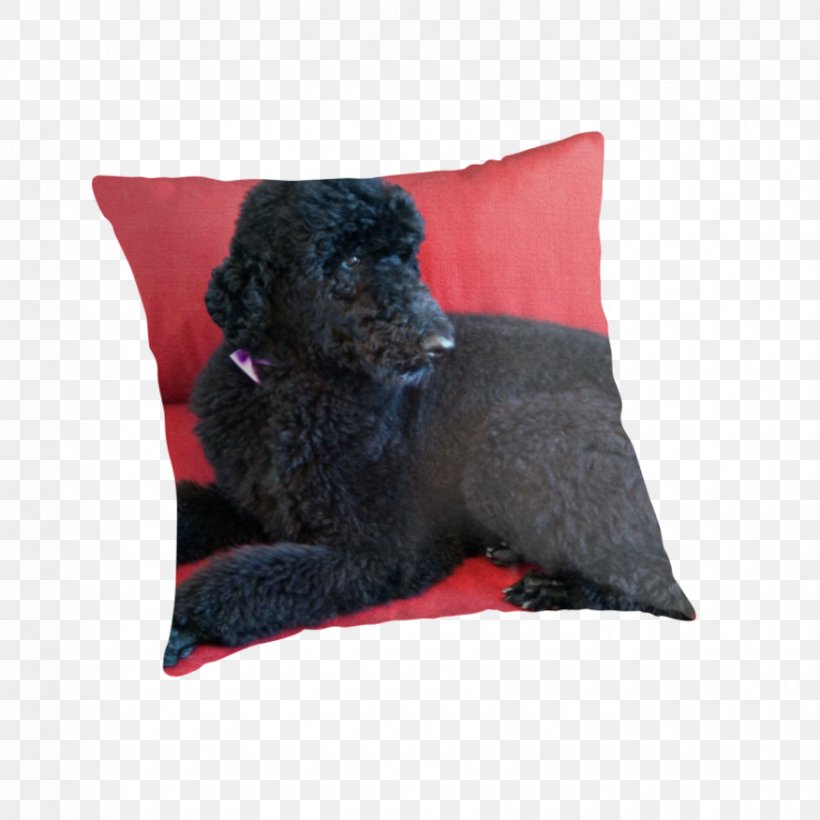 Poodle Dog Breed Throw Pillows Cushion Water Dog, PNG, 875x875px, Poodle, Breed, Breed Group Dog, Canidae, Cushion Download Free
