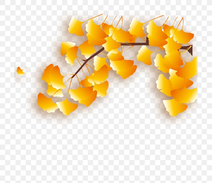 Apricot Leaf Designer, PNG, 709x709px, Apricot, Designer, Ginkgo Biloba, Leaf, Orange Download Free