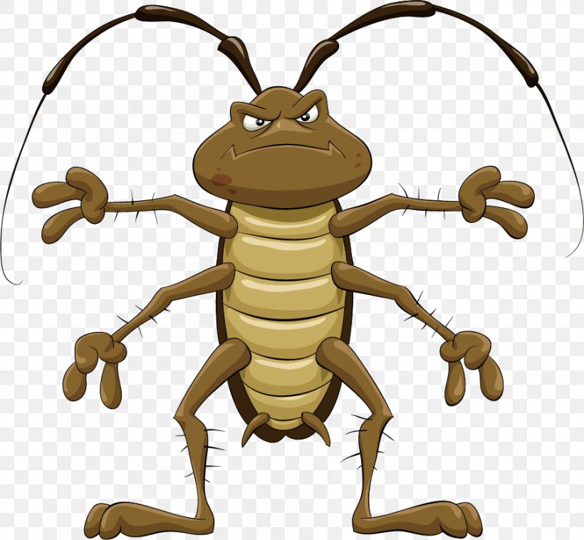 Cockroach Cartoon Royalty-free Clip Art, PNG, 901x833px, Cockroach, Animated Cartoon, Bee, Cartoon, Drawing Download Free