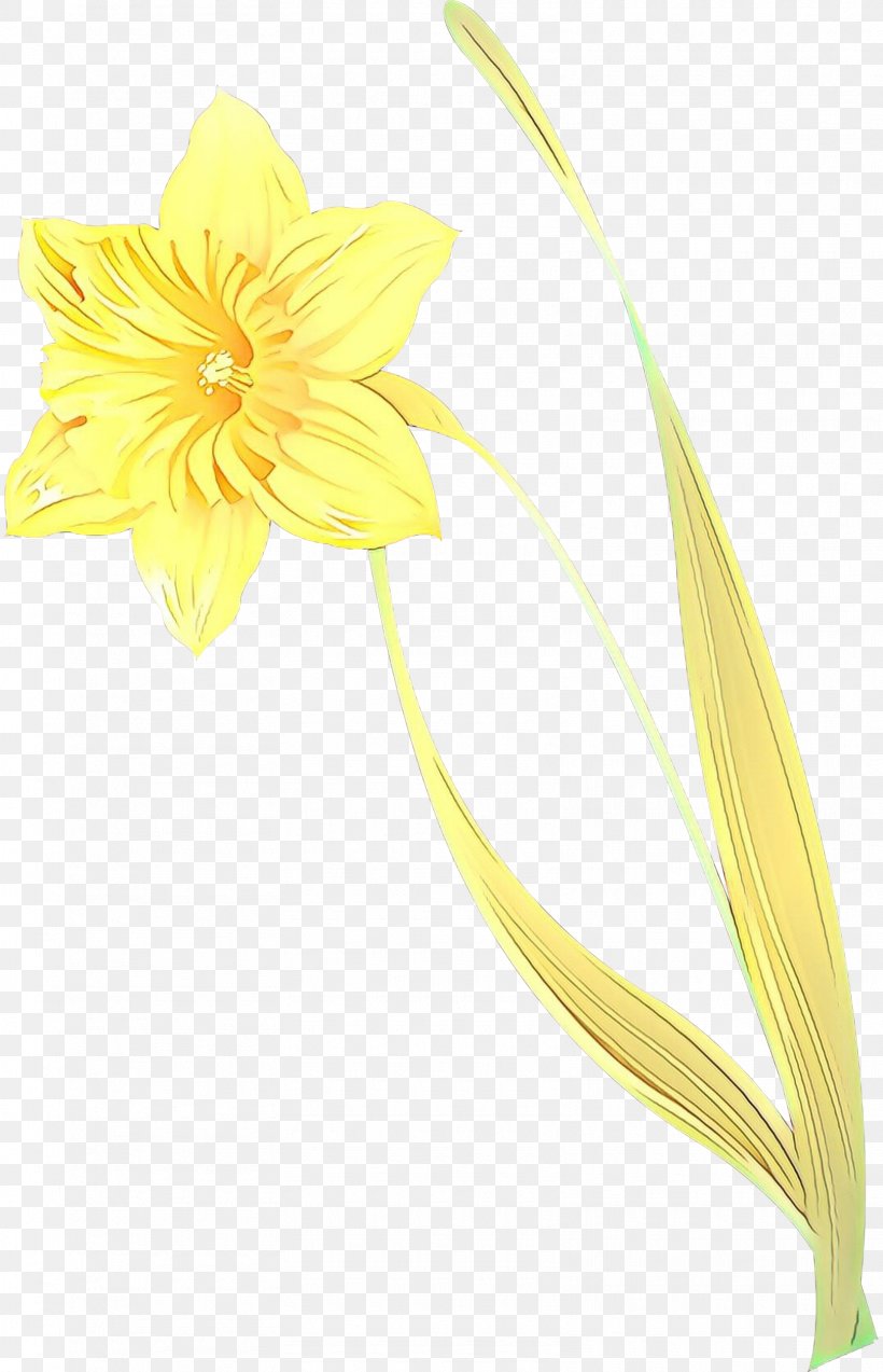 Flowers Background, PNG, 1610x2500px, Cartoon, Cut Flowers, Flower, Flowering Plant, Gerbera Download Free