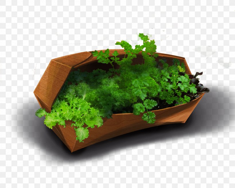 Leaf Vegetable Herb Flowerpot, PNG, 1600x1280px, Leaf Vegetable, Flowerpot, Grass, Herb, Plant Download Free