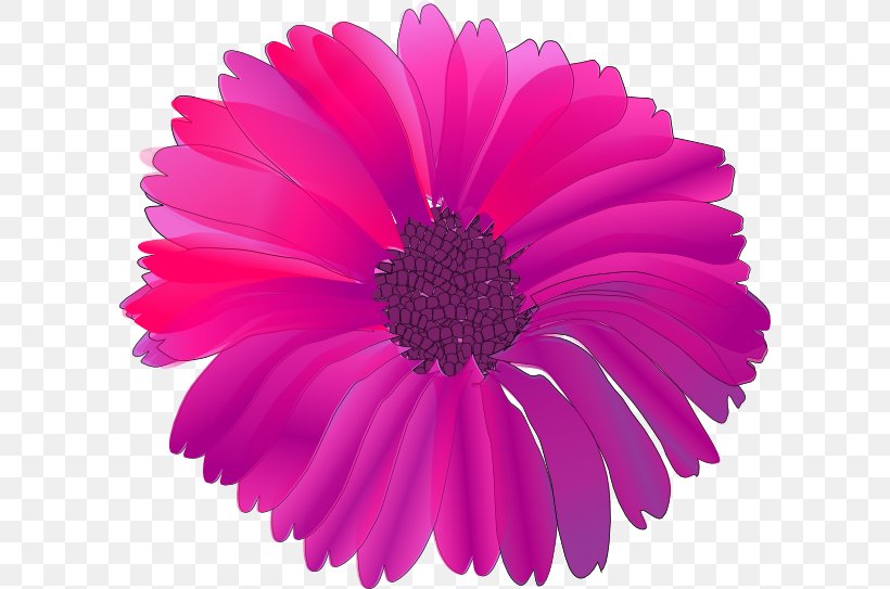 Pink Flowers Clip Art, PNG, 600x543px, Pink Flowers, Annual Plant, Aster, Chrysanths, Color Download Free