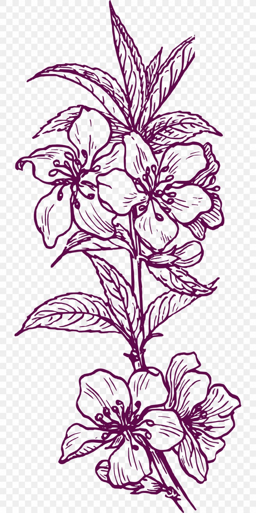 Plant Drawing Clip Art, PNG, 960x1920px, Plant, Art, Artwork, Black And White, Drawing Download Free