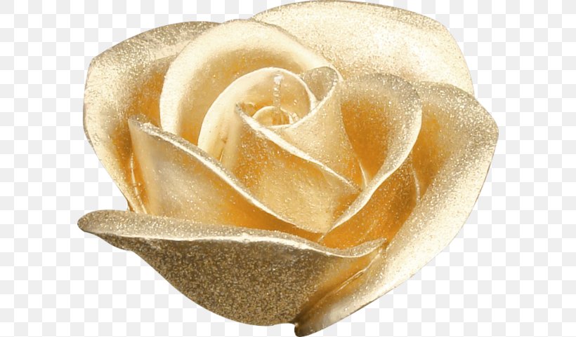 Flower Gold, PNG, 600x481px, Flower, Garden Roses, Gold, Internet Explorer, Petal Download Free