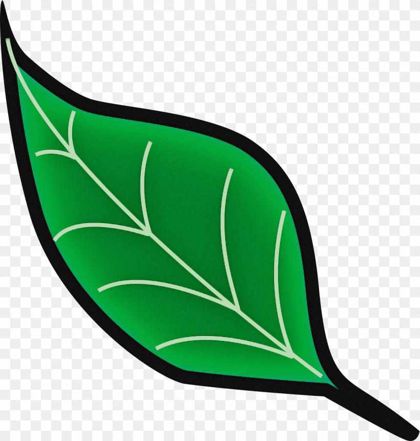 Tree Line, PNG, 1303x1368px, Leaf, Alocasia, Alocasia Odora, Alocasia Sanderiana, Cyclobalanopsis Download Free