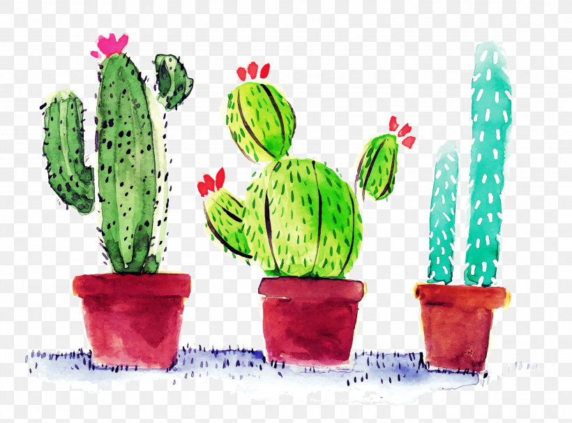 Cactus, PNG, 3000x2220px, Cactus, Caryophyllales, Flower, Flowerpot, Hedgehog Cactus Download Free