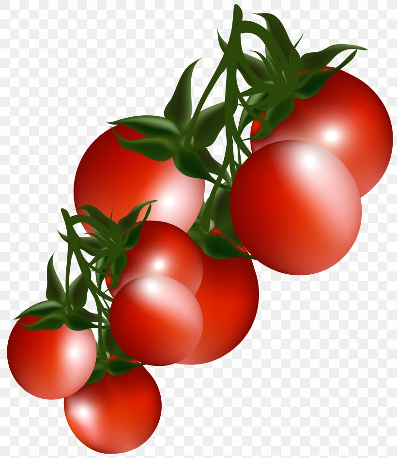 Cherry Tomato Roma Tomato Vegetable Clip Art, PNG, 2721x3139px, Cherry Tomato, Bush Tomato, Cherry, Diet Food, Food Download Free
