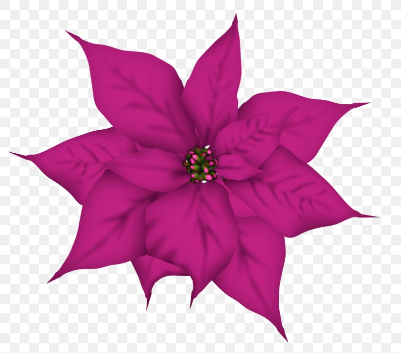 Christmas Flower Clip Art, PNG, 800x721px, Christmas, Animation, Blue, Cut Flowers, Diaper Cake Download Free