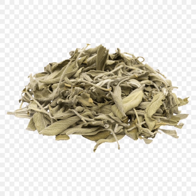 Common Sage Tea Herb Food Drying, PNG, 1200x1200px, Common Sage, Bai Mudan, Baihao Yinzhen, Bancha, Biluochun Download Free