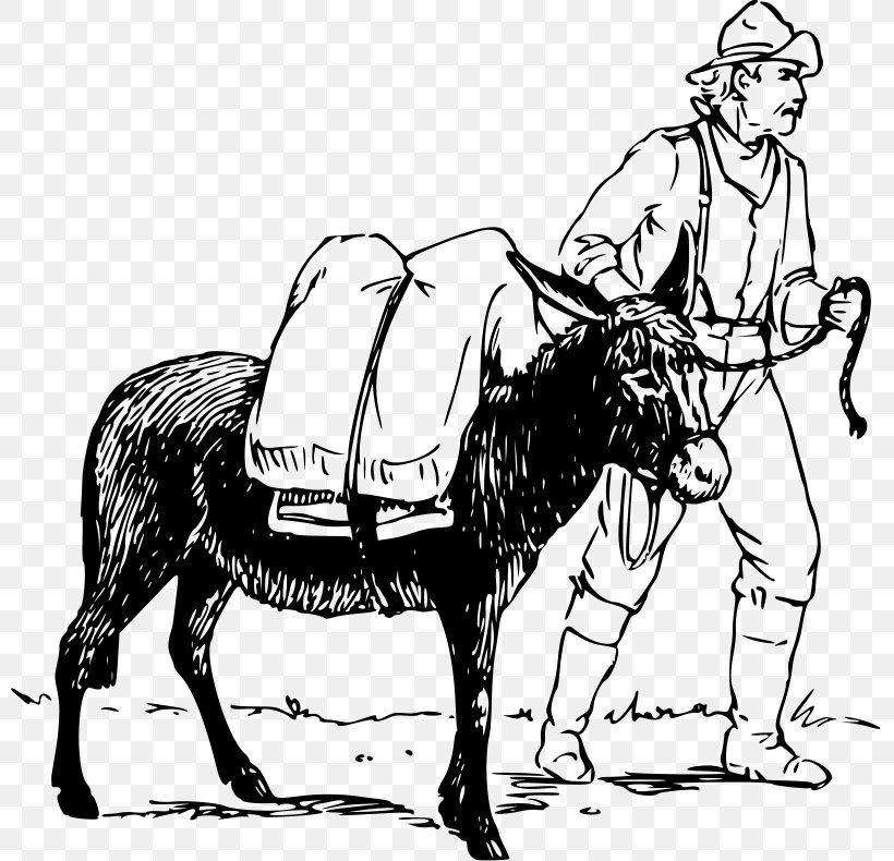 Donkey Mule Drawing Clip Art, PNG, 800x790px, Donkey, Art, Black And White, Bridle, Cartoon Download Free