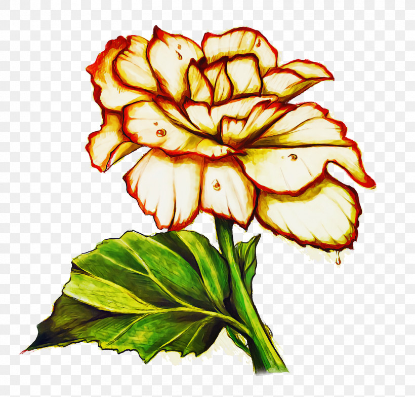Floral Design, PNG, 1508x1440px, Floral Design, Bud, Carnation, Chrysanthemum, Cut Flowers Download Free