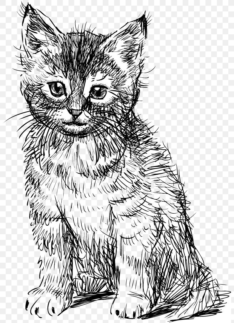 British Shorthair Abyssinian Kitten Drawing, PNG, 800x1131px, British Shorthair, Abyssinian, Art, Artwork, Black And White Download Free