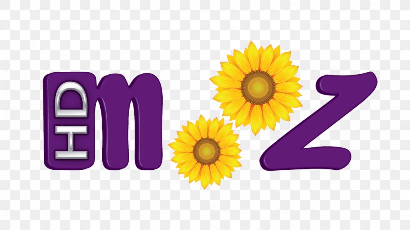 Common Sunflower Mooz HD Mooz Dance Logo Transvaal Daisy, PNG, 1024x576px, Common Sunflower, Brand, Daisy Family, Flower, Flowering Plant Download Free