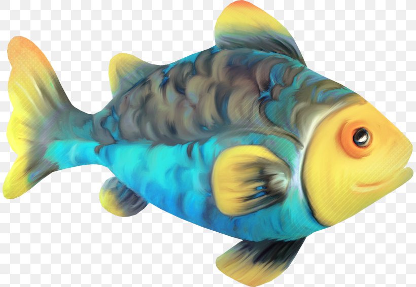 Fish Download Clip Art, PNG, 810x566px, Fish, Animaatio, Bony Fish, Computer Network, Coral Reef Fish Download Free