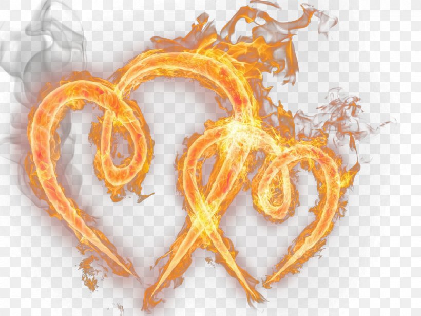 Flame Fire Clip Art, PNG, 1200x900px, Flame, Adobe Fireworks, Combustion, Fire, Orange Download Free
