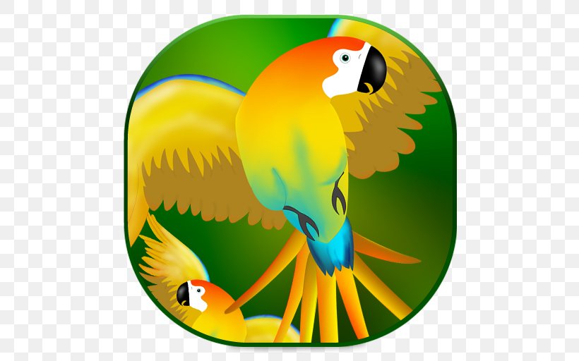 Macaw Parrot Beak Toucan Yellow, PNG, 512x512px, Macaw, Beak, Bird, Fauna, Organism Download Free