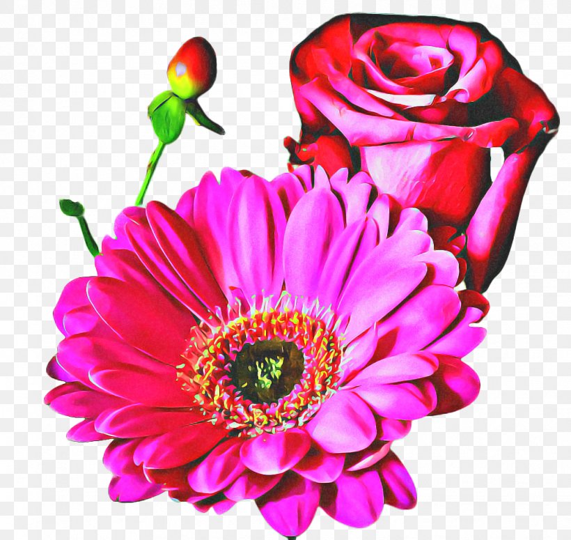 Pink Flower Cartoon, PNG, 1028x972px, Rose, Annual Plant, Artificial Flower, Barberton Daisy, Bloom Download Free