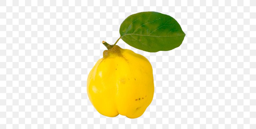Quince Fruit Auglis Juice Vegetable, PNG, 630x416px, Quince, Apple, Auglis, Bell Peppers And Chili Peppers, Citron Download Free