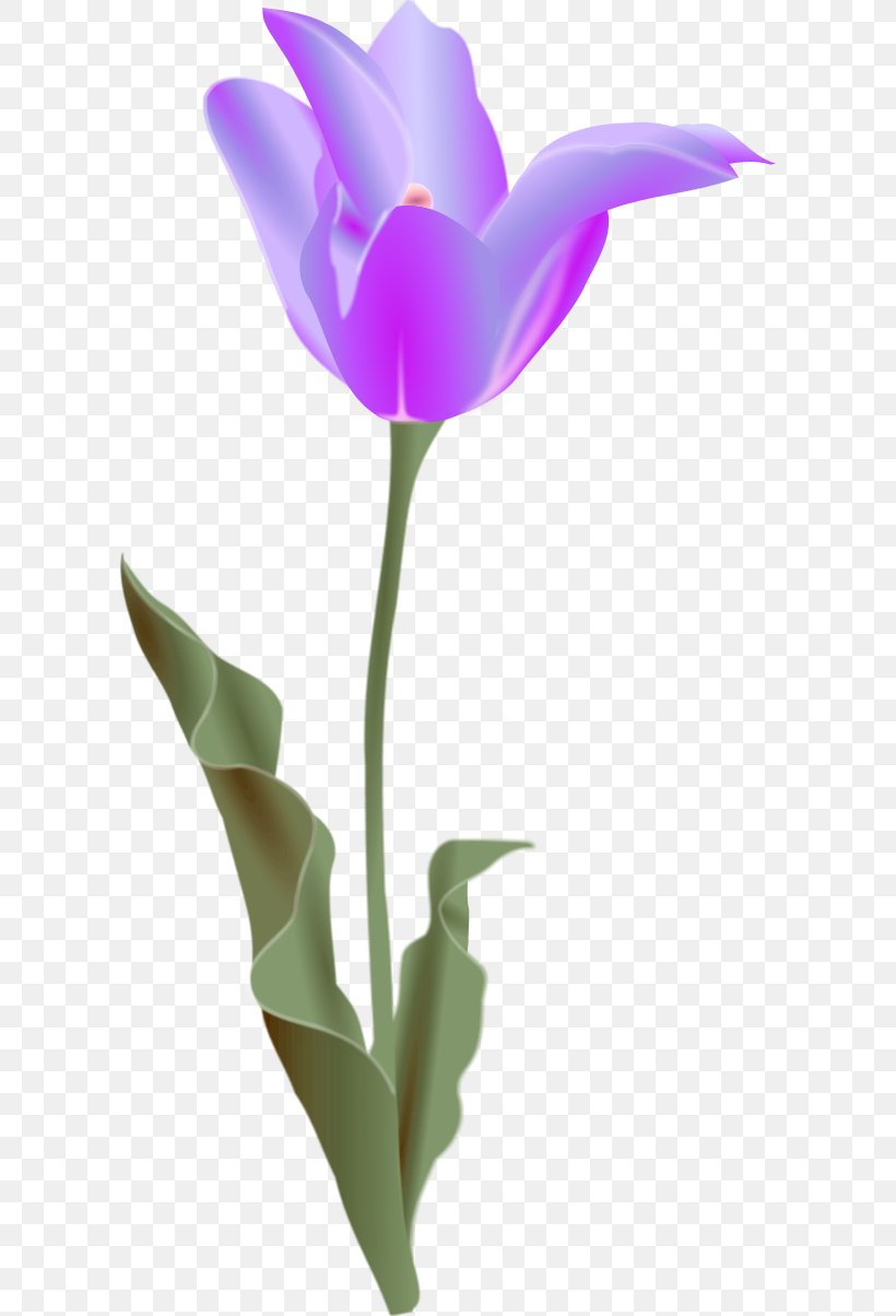 Tulip Free Content Flower Clip Art, PNG, 600x1204px, Tulip, Blog, Bud, Cut Flowers, Drawing Download Free