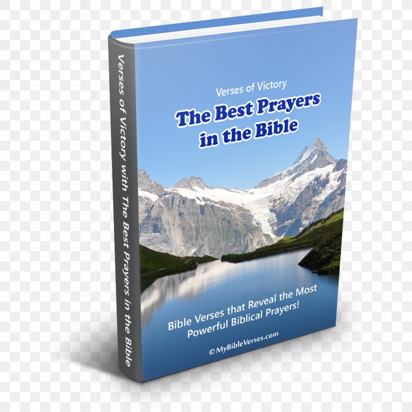 Bible Praying God's Word Book God's Word Translation Prayer, PNG, 1215x1215px, Bible, Bible Study, Blessing, Book, Brand Download Free