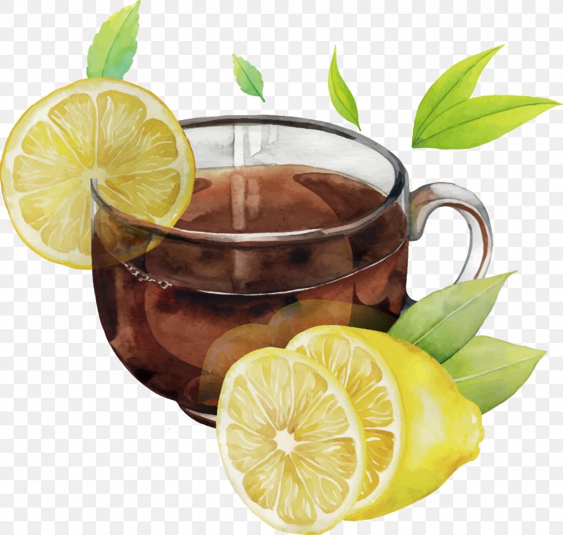 Green Tea Watercolor Painting Lemon, PNG, 1772x1686px, Tea, Black Tea, Cuba Libre, Cup, Drawing Download Free