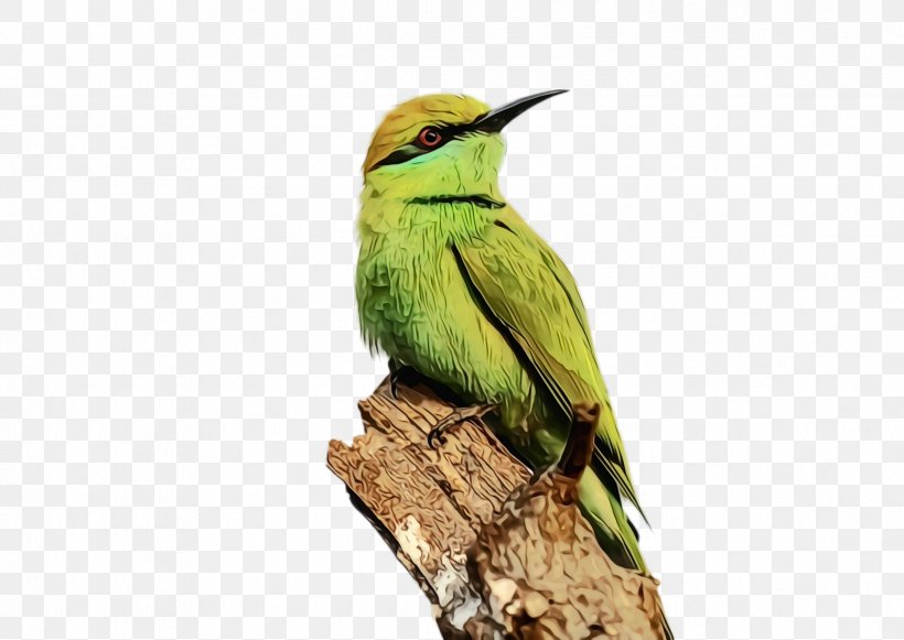 Hummingbird, PNG, 2376x1684px, Watercolor, Beak, Bee Eater, Bird, Coraciiformes Download Free