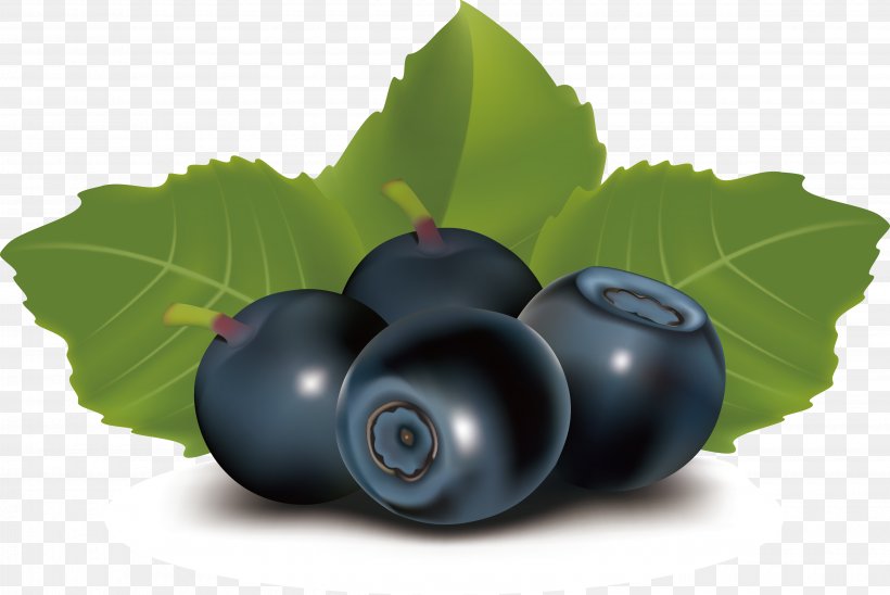 Juice Blueberry Fruit, PNG, 3720x2489px, Juice, Berry, Bilberry, Blueberry, Cherry Download Free
