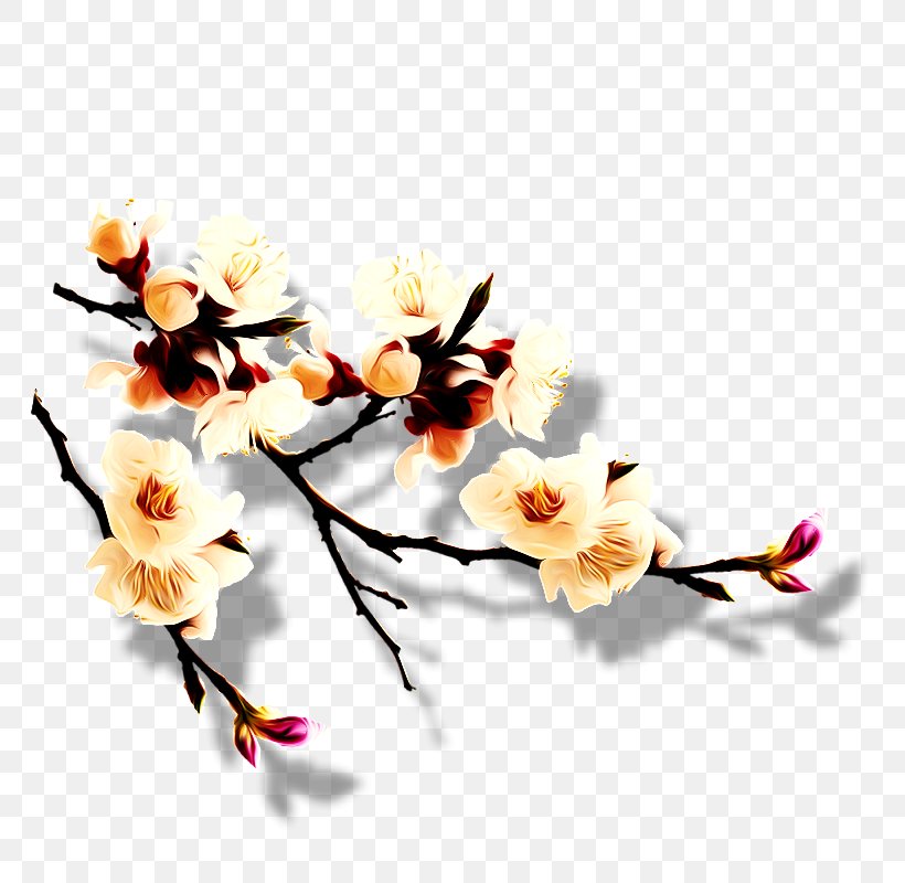 China Download Plum Blossom, PNG, 800x800px, China, Artificial Flower, Blossom, Branch, Cherry Blossom Download Free