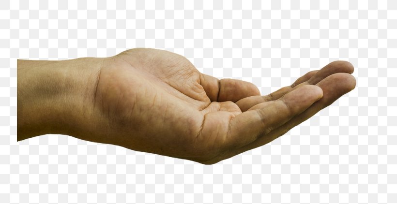 Hand Finger Palm Thumb, PNG, 750x422px, Hand, Arm, Begging, Finger, Gesture Download Free