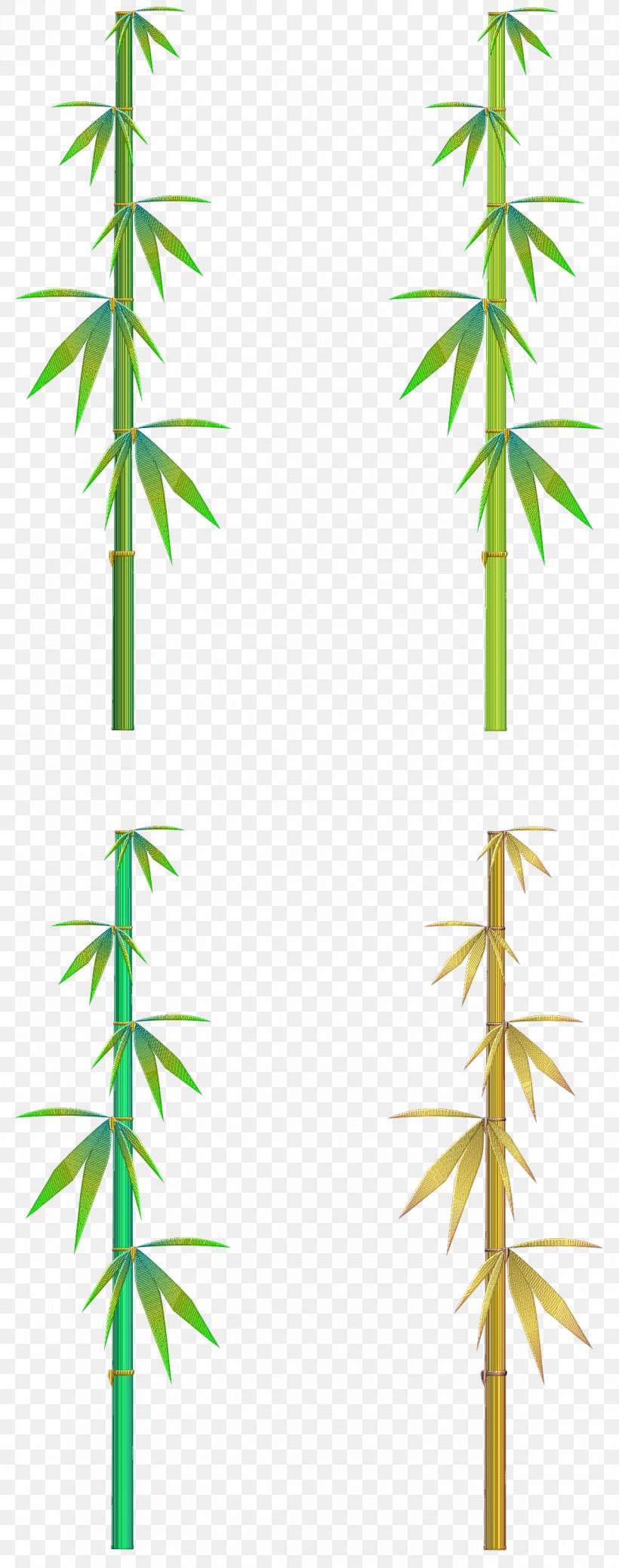 Hemp Line Angle Cannabis, PNG, 1184x3000px, Hemp, Branch, Cannabis, Grass, Leaf Download Free