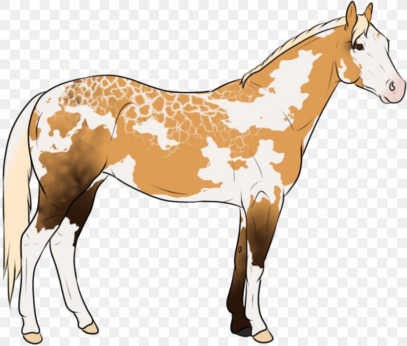 Mule Foal Stallion Mustang Colt, PNG, 968x825px, Mule, Animal Figure, Bridle, Colt, Florida Kraze Krush Soccer Club Download Free