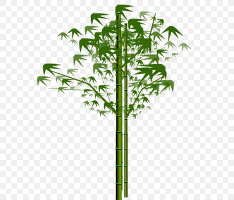 Bamboo Image Clip Art Vector Graphics, PNG, 700x700px, Bamboo, Bamboo Blossom, Flower, Flowerpot, Giant Panda Download Free