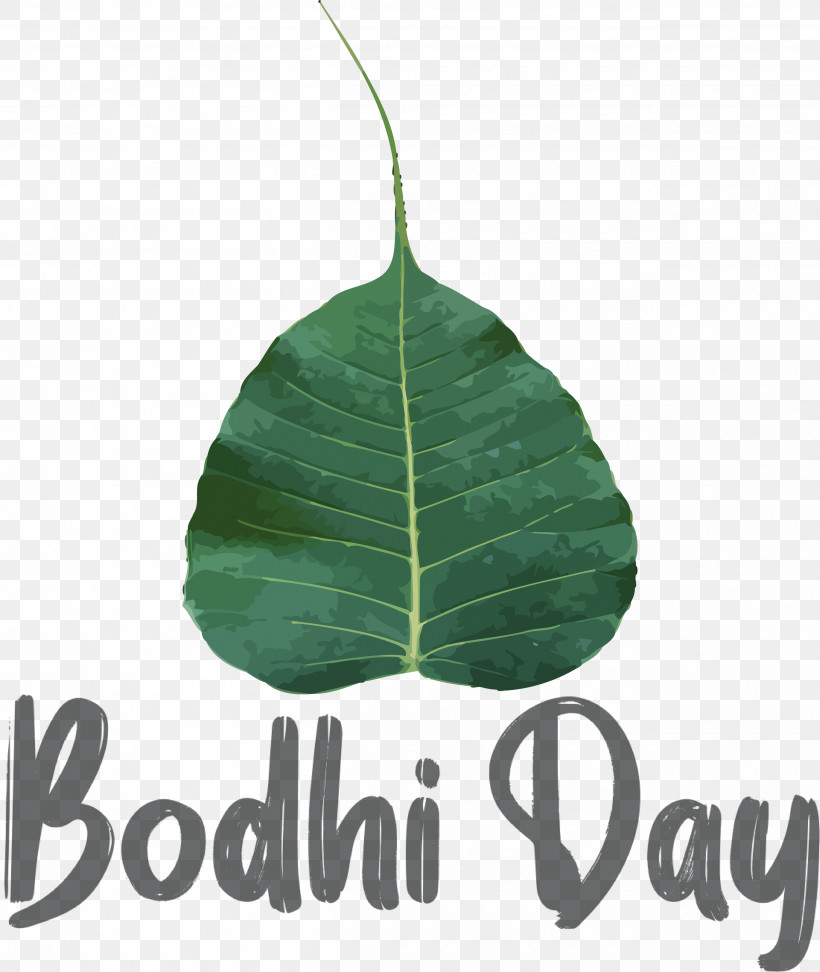 Bodhi Day, PNG, 2530x3000px, Bodhi Day, Biology, Leaf, Meter, Plant Structure Download Free