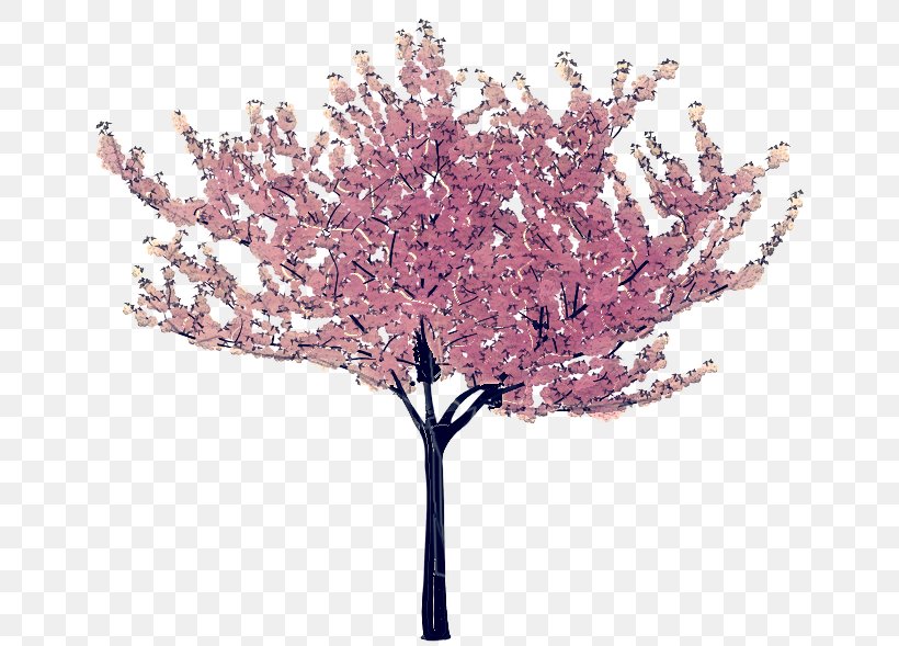 Cherry Blossom Tree Drawing, PNG, 656x589px, Cherry Blossom, Artificial Flower, Blossom, Branch, Cherries Download Free