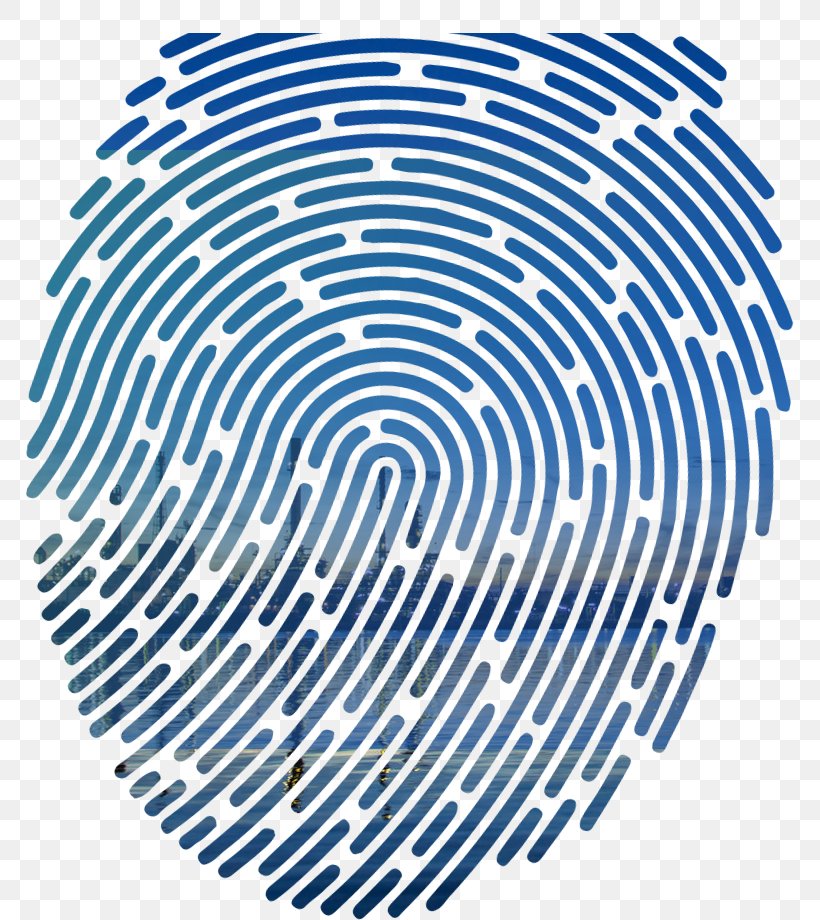 Clip Art Vector Graphics Fingerprint Illustration, PNG, 769x920px, Fingerprint, Finger, Fingerabdruckerkennung, Istock, Thumb Download Free