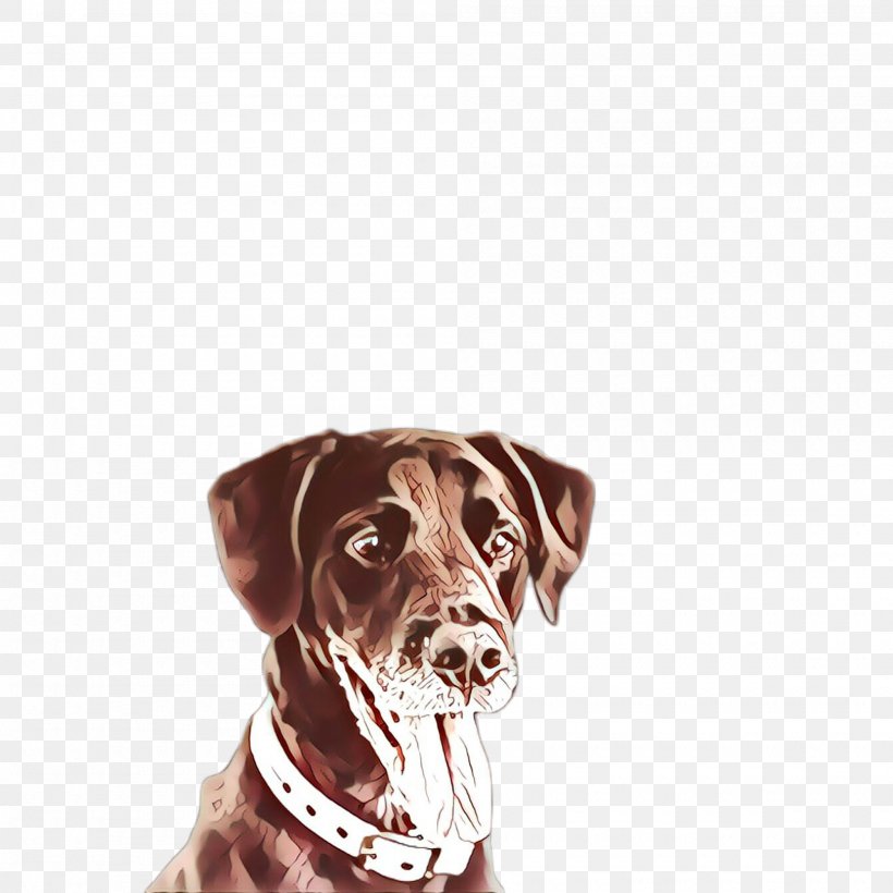 Dog Dog Breed Labrador Retriever Sporting Group Dog Collar, PNG, 2000x2000px, Cartoon, Dog, Dog Breed, Dog Collar, Labrador Retriever Download Free