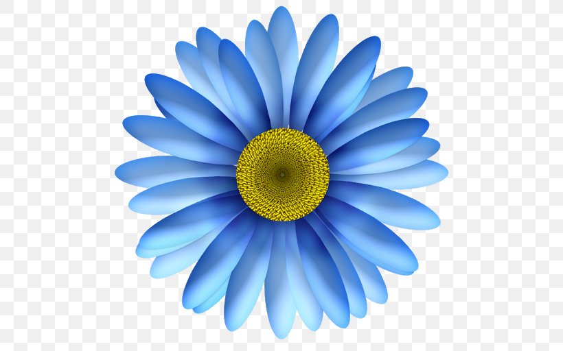 Flower Common Daisy Clip Art, PNG, 505x512px, Flower, Blue, Chrysanths, Close Up, Common Daisy Download Free