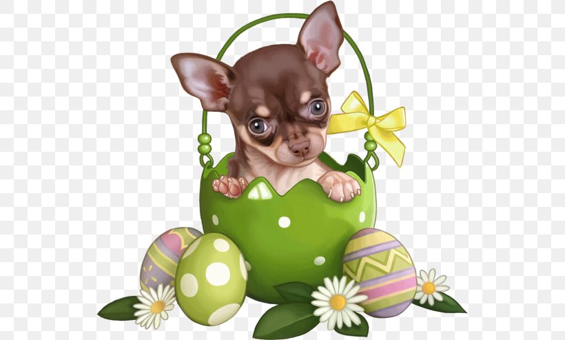 Puppy Bulldog Animal Easter Bunny Easter Egg, PNG, 540x493px, Puppy, Animal, Bulldog, Carnivoran, Chihuahua Download Free